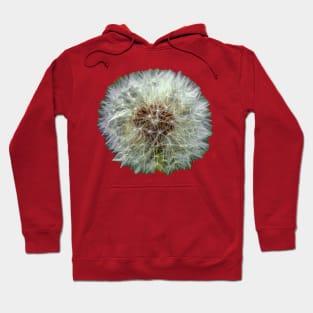 Dandelion Clock Hoodie